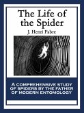 The Life of the Spider (eBook, ePUB)