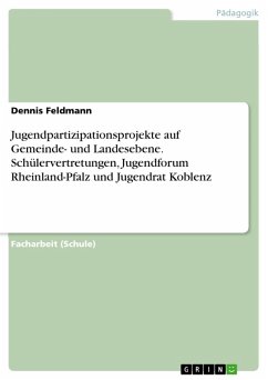 Jugendpartizipationsprojekte auf Gemeinde- und Landesebene. Schülervertretungen, Jugendforum Rheinland-Pfalz und Jugendrat Koblenz (eBook, PDF)