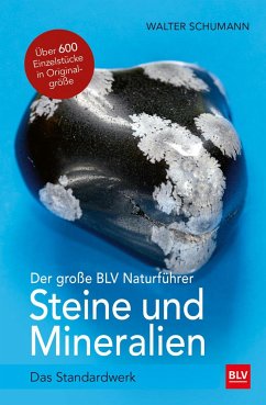 Der große BLV Naturführer Steine- und Mineralienführer - Schumann, Walter