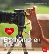 Eichhörnchen ganz nah - Bild 1