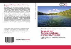 Laguna de Tampamachoco, Veracruz, México - Vázquez Botello, Alfonso;de la Lanza E, Guadalupe;Villanueva F, Susana