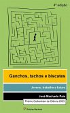 Ganchos, Tachos e Biscates: jovens, trabalho e futuro (eBook, ePUB)