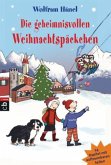 Die geheimnisvollen Weihnachtspäckchen