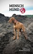 Mensch Hund und - Bild 1