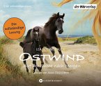 Auf der Suche nach Morgen / Ostwind Bd.4 (5 Audio-CDs)