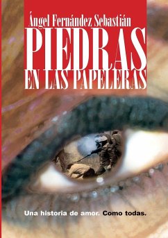 Piedras en las papeleras - Fernández Sebastián, Ángel