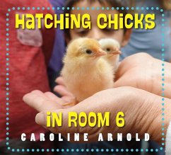 Hatching Chicks in Room 6 - Arnold, Caroline