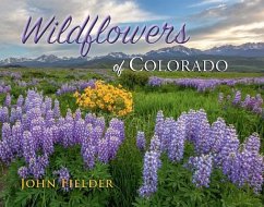 Wildflowers of Colorado - Fielder, John