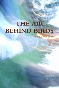The Air Behind Birds - Darris, Randyy