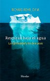 Respirar bajo el agua (eBook, ePUB)