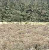 Solas Solas