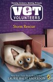 Storm Rescue (eBook, ePUB)