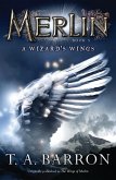 The Wizard's Wings (eBook, ePUB)