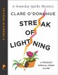 Streak of Lightning (eBook, ePUB) - Bild 1