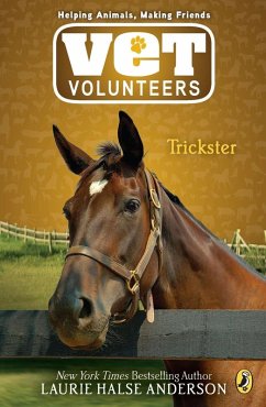 Cover Trickster (eBook, ePUB)