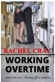 Working Overtime (Law Firm Love) (eBook, ePUB) Working Overtime (Law Firm Love) (eBook, ePUB)