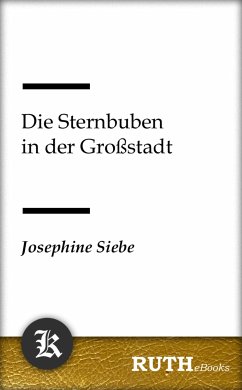 Die Sternbuben in der Großstadt (eBook, ePUB) - Siebe, Josephine