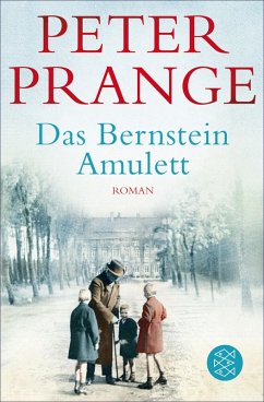 Das Bernstein-Amulett (eBook, ePUB) - Prange, Peter