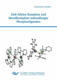 Zink-Silylen Komplexe und Metallkomplexe mehrzähniger Phosphanliganden - Schäfer, Sebastian