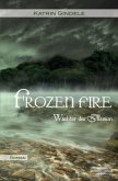 Frozen Fire / Wächter der Illusion Bd.2