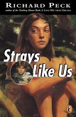 Strays Like Us (eBook, ePUB)