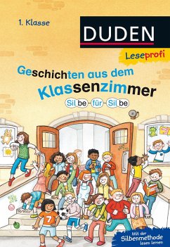 Leseprofi - Silbe für Silbe: Geschichten aus dem Klassenzimmer, 1. Klasse - Schulze, Hanneliese;Holthausen, Luise