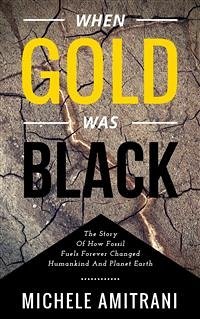 Cover When Gold was Black (eBook, ePUB)