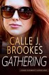 Gathering (PAVAD: FBI Romantic... - Bild 1