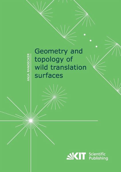 Geometry and topology of wild translation surfaces Geometry and topology of wild translation surfaces