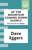 Up the Mountain Coming Down Slowly (eBook, ePUB)