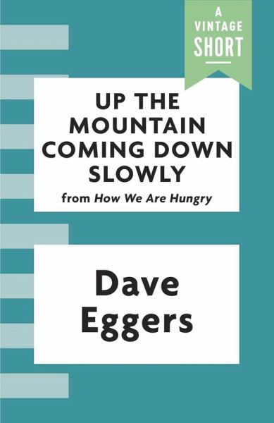 Up the Mountain Coming Down Slowly (eBook, ePUB)