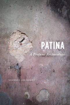 Cover Patina (eBook, ePUB)