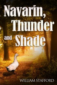 Cover Navarin, Thunder and Shade (eBook, PDF)