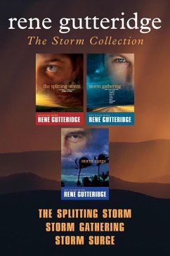 Cover The Storm Collection: The Splitting Storm / Storm Gathering / Storm Surge (eBook, ePUB)