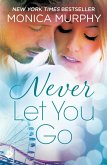 Never Let You Go: Never Series 2 (eBook, ePUB)