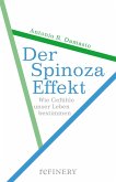 Der Spinoza-Effekt (eBook, ePUB)