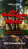 Der Gefangene im Moor (eBook, ePUB)