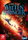 Die gestohlenen Kapitel / Weltenspringer Bd.2 (eBook, ePUB)