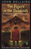 The Figure In the Shadows (eBook, ePUB)