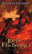 Birth of the Firebringer (eBook, ePUB) - Bild 1