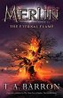 The Eternal Flame (eBook, ePUB) - Bild 1