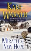 Miracle in New Hope (eBook, ePUB)