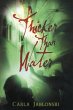 Thicker Than Water (eBook, ePUB) - Bild 1