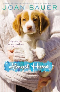 Cover Almost Home (eBook, ePUB)