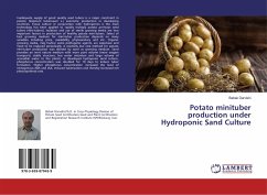 Potato minituber production under Hydroponic Sand Culture