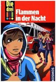 Flammen in der Nacht / Die drei Ausrufezeichen Bd.63