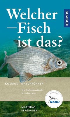 Welcher Fisch ist das? - Bergbauer, Matthias