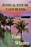 Justo al Este de Cayo Hueso (eBook, ePUB)