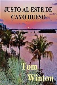 Justo al Este de Cayo Hueso (eBook, ePUB) - Winton, Tom