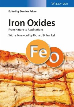 Iron Oxides (eBook, PDF) - Faivre, Damien